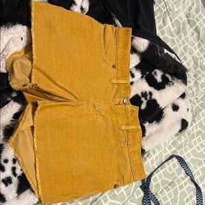 Mustard Yellow corduroy  Shorts Never worn